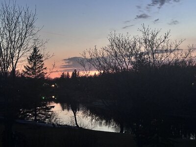 IMG_1295.jpeg