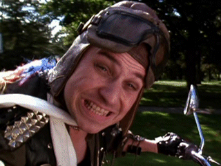 bobcat.gif