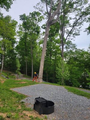 IMG_20250509_180248.jpg