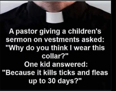 2 pastor's flea collar.png