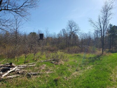 20250510_091404.jpg