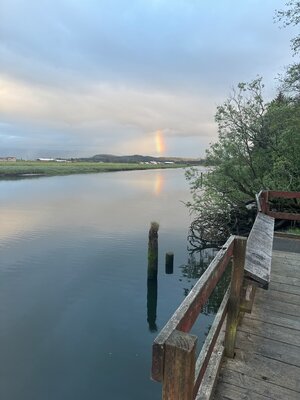 IMG_2473.jpeg