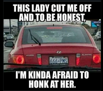 1 PMS 666 lady.png