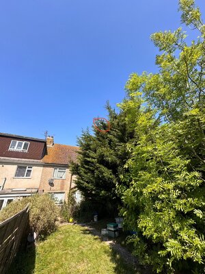 IMG_8844.jpeg