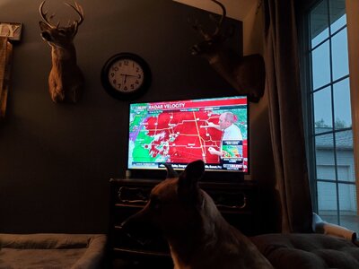 20250515_181633.jpg