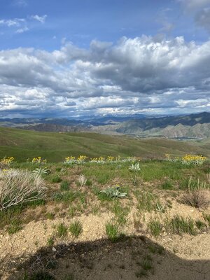 IMG_2877.jpeg