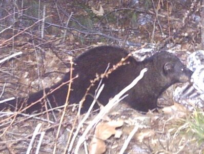 fisher06.jpg