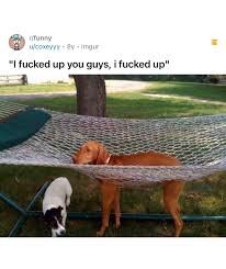 1747508457123.jpeg