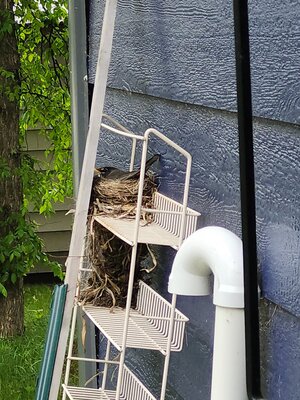 20250517_130723.jpg
