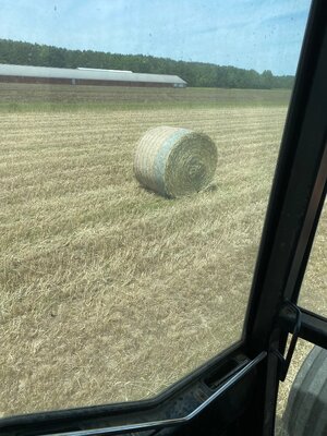 IMG_7622.jpeg