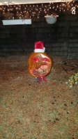 20161224_220720.jpg