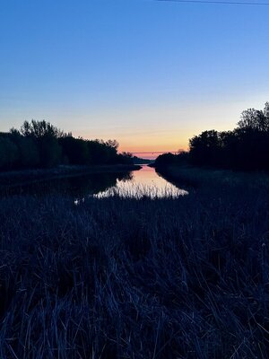 IMG_1671.jpeg