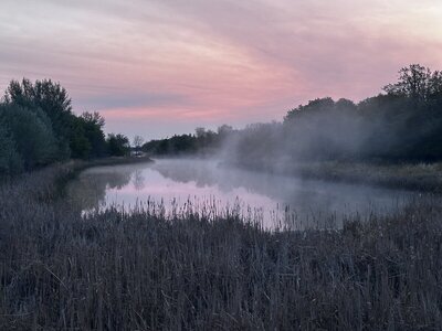 IMG_1677.jpeg