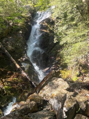 IMG_0502.jpeg
