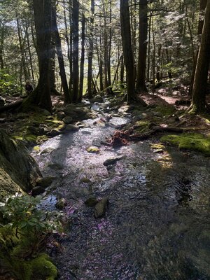 IMG_0506.jpeg