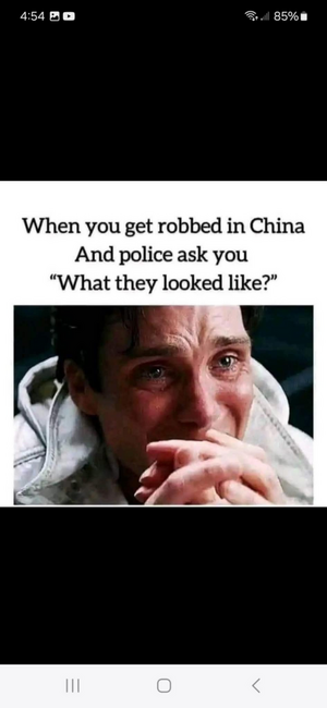 1748477324431.png