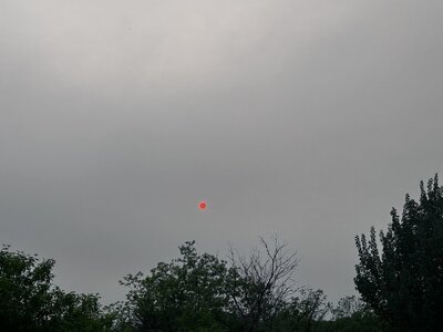 IMG_1701.jpeg
