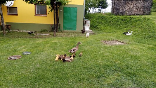 IMG_20250530_151955.jpg
