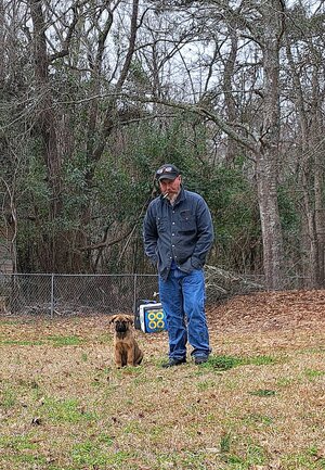IMG_20250208_131600.jpg