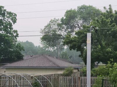 20250603_063046.jpg