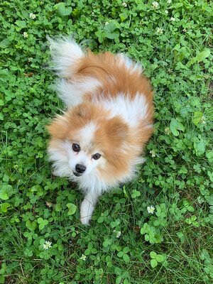 IMG_5052.jpeg
