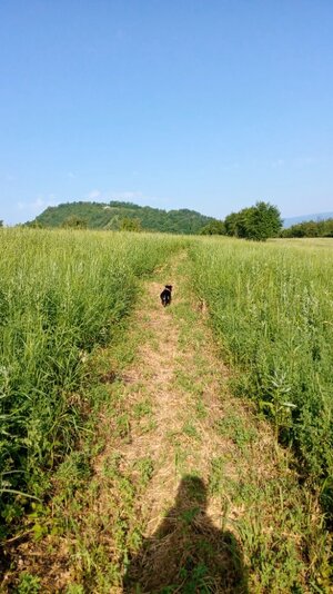 IMG_20250608_080416.jpg