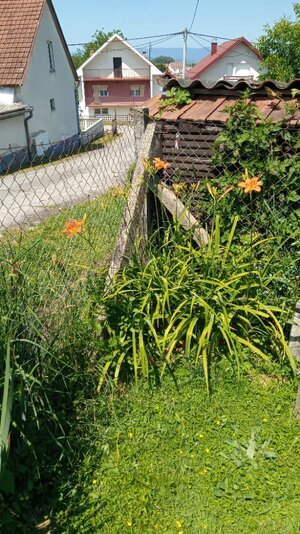 IMG_20250608_113630.jpg