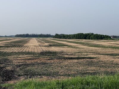 IMG_1742.jpeg