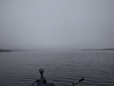 IMG_20250614_073406.jpg