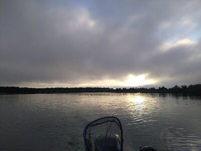IMG_20250614_063228.jpg