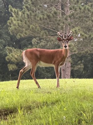 IMG_1119.jpeg
