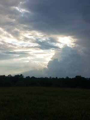 20250616_191336.jpg