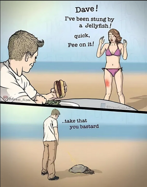 2 stung by jellyfish.png