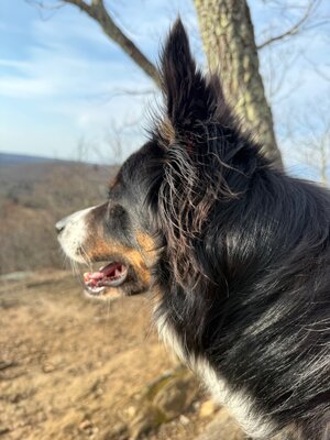 IMG_6056.jpeg