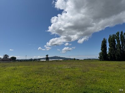 IMG_2613.jpeg