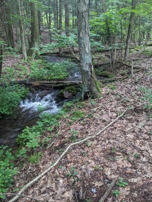 PXL_20250621_114519456.jpg
