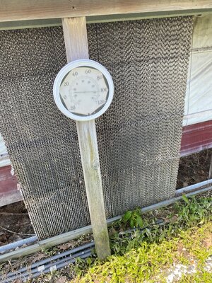 IMG_7753.jpeg