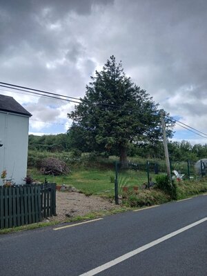 20250623_092023.jpg