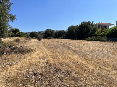 IMG_7262.jpeg