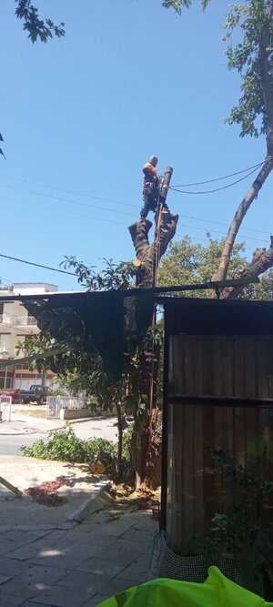 IMG_5828.jpeg
