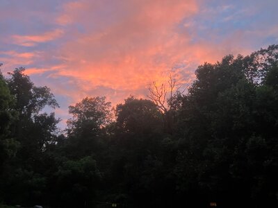 IMG_2817.jpeg