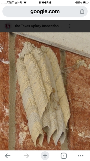 IMG_2978.png