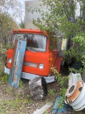 IMG_2315.jpeg