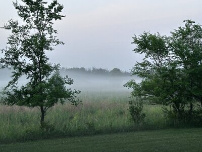 IMG_1862.jpeg
