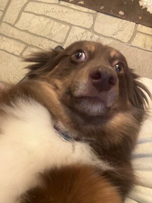 IMG_2646.jpeg