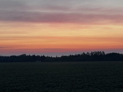 IMG_1865.jpeg