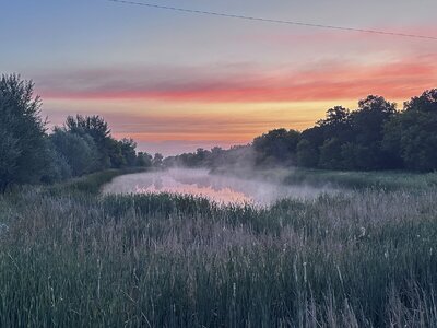 IMG_1866.jpeg