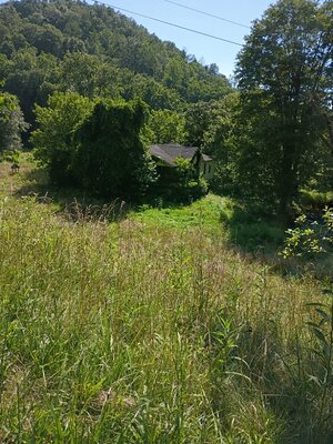 IMG_20250705_163241375.jpg