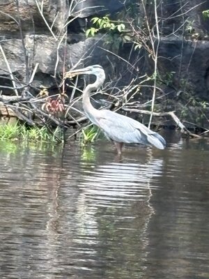 IMG_0697.jpeg