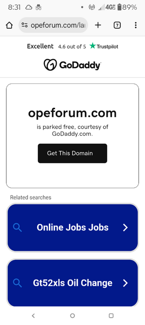 Screenshot_20250708-203152.Chrome.png